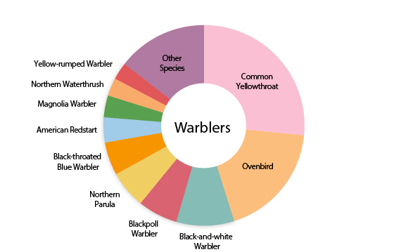 Warbler collision victims in New York City since 1997, by species. Graphic: NYC Audubon