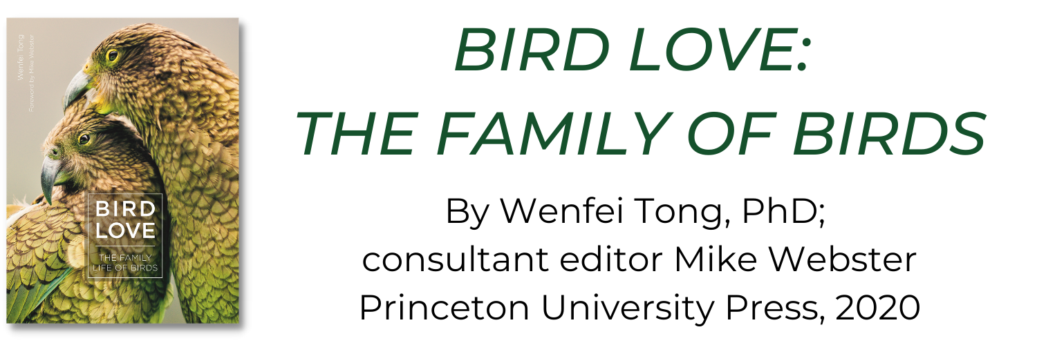 "Bird Love: The Family of Birds" by Wenfei Tong, PhD; consultant editor Mike Webster. Princeton University Press, 2020