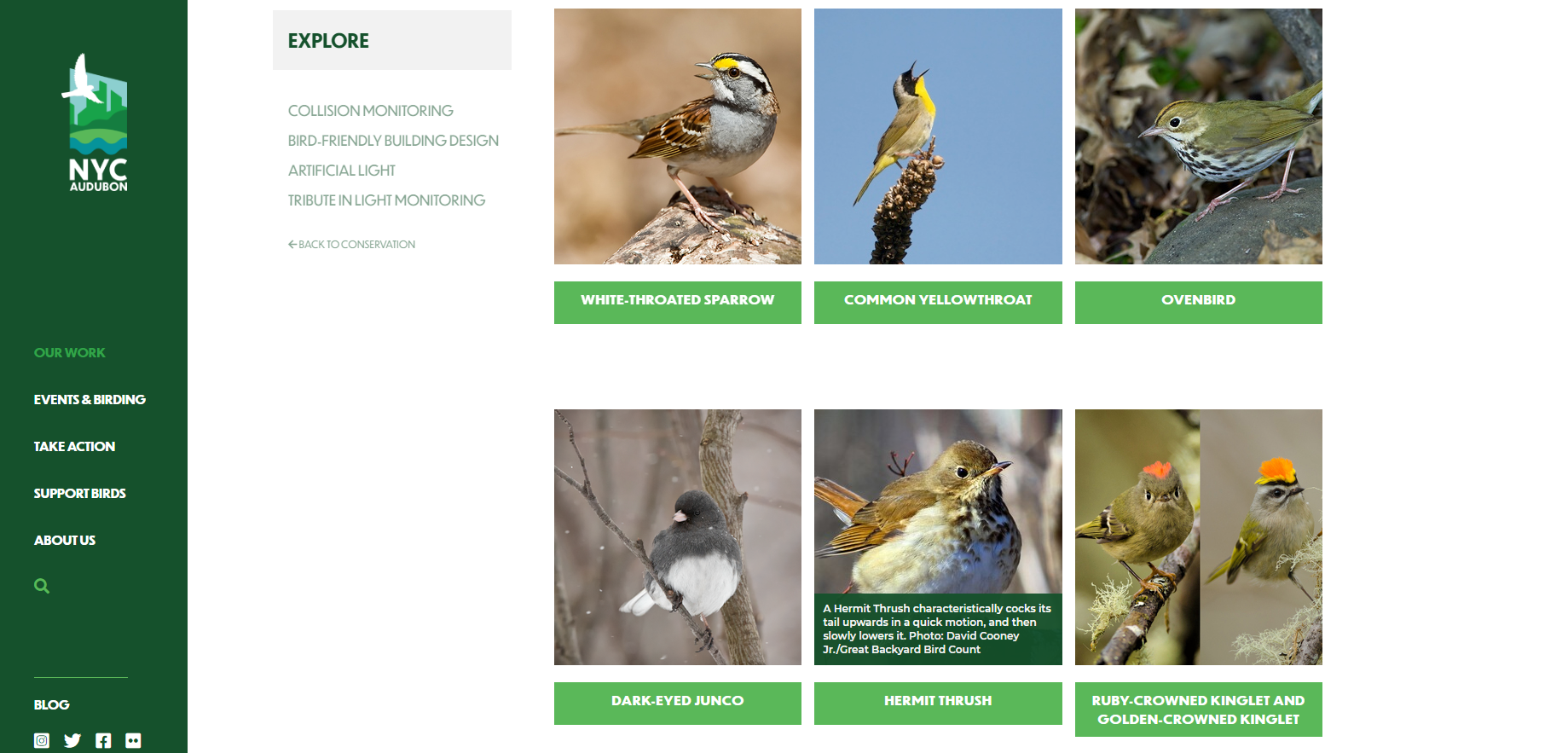 Learn about the principal species we work with dozens of species profiles on our conservation pages.