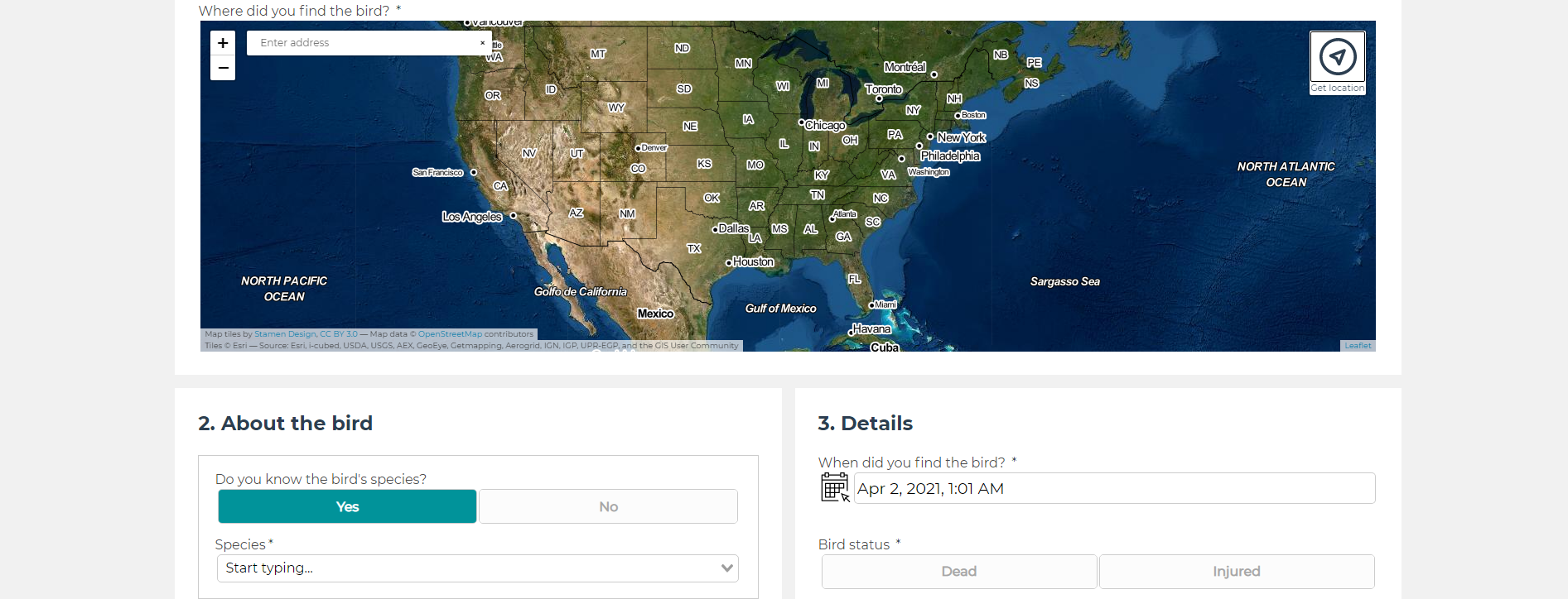 The rebuilt dBird.org allows organizations across North America to manage bird-mortality data within their own regions. 