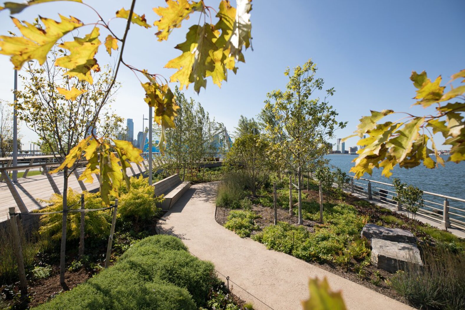 Pier 26, several block north of Chambers Street, opened in fall 2020 and features pathways through native plantings as well as a tidally flooded “Tide Deck.”. Photo: Max Guliani for Hudson River Park