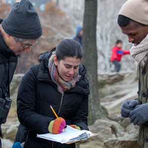 Participants tally their findings during the Audubon Christmas Bird Count in Central Park. Photo: Camilla Cerea/National Audubon