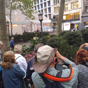 Free walks in Bryant Park with Naturalist Gabriel Willow are offered twice weekly during spring and fall migration seasons. Photo: NYC Audubon