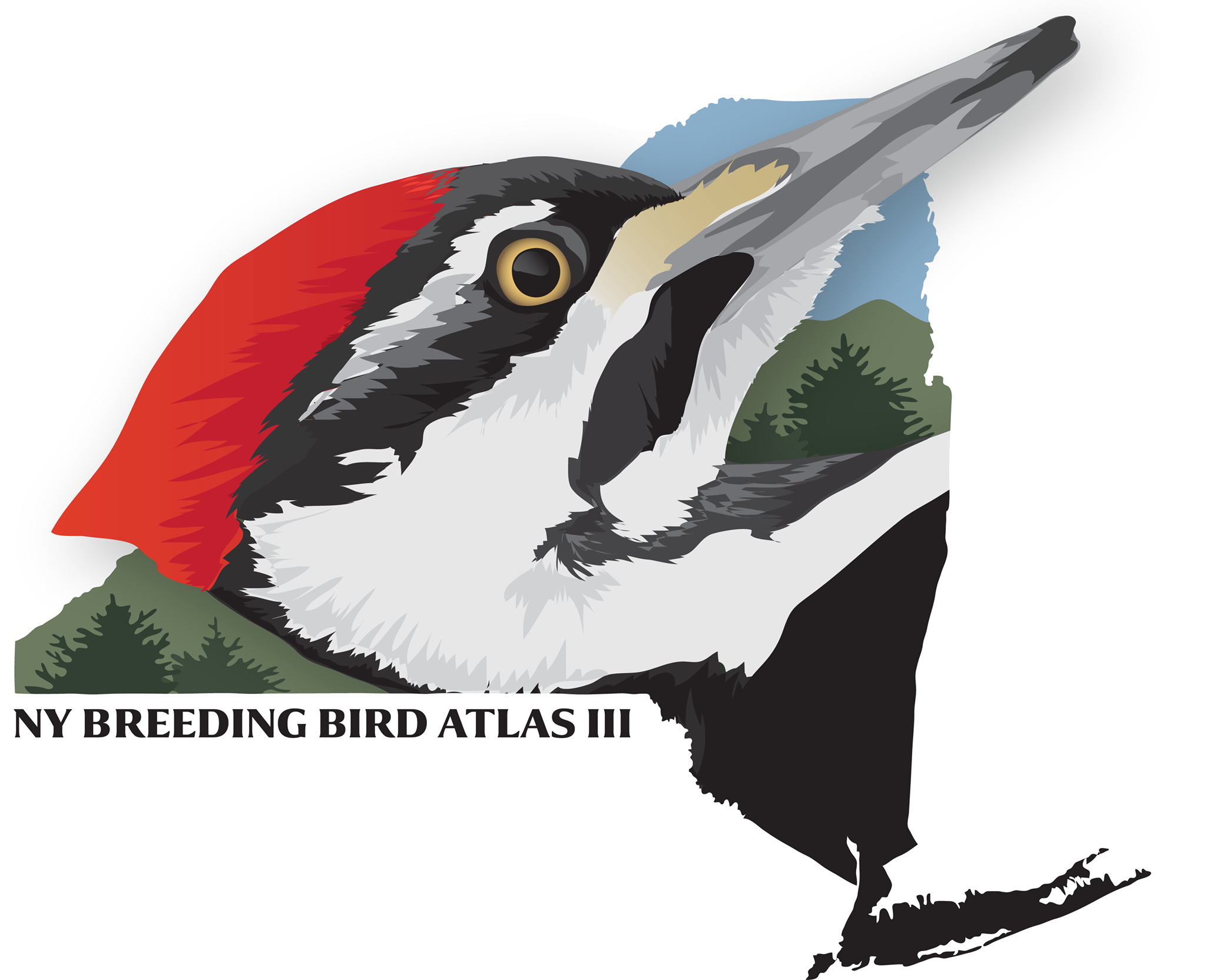 The New York State Breeding Bird Atlas III runs from 2020 to 2024. Image: New York State Breeding Bird Atlas