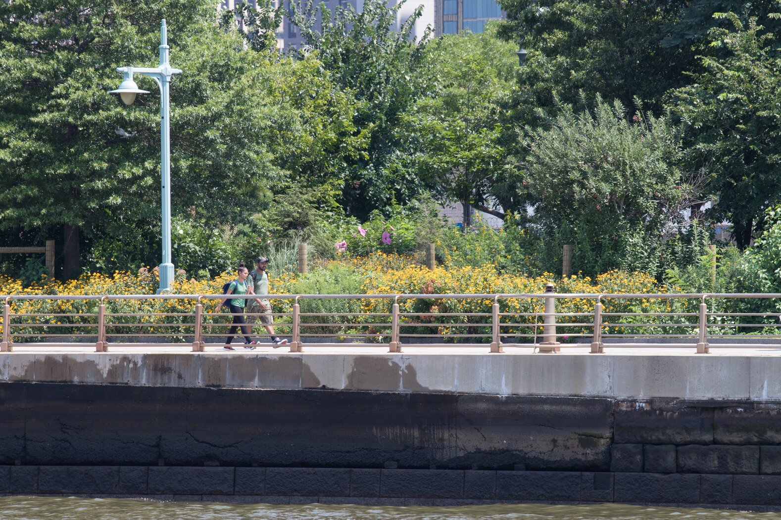 The Hudson River Park Habitat Garden, located along the Hudson River from West 26th to West 29th Streets, includes native plant species that support birds, pollinators, and other wildlife. Photo: Max Guliani for Hudson River Park