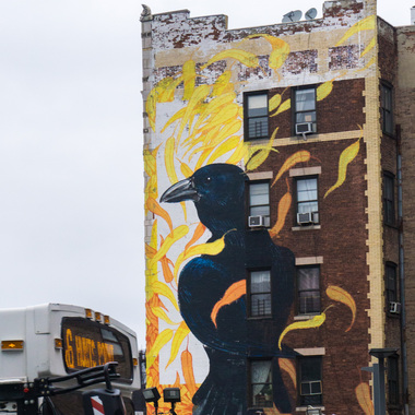 Fish Crow by Hitnes, located at 3750 Broadway, New York, NY 10032