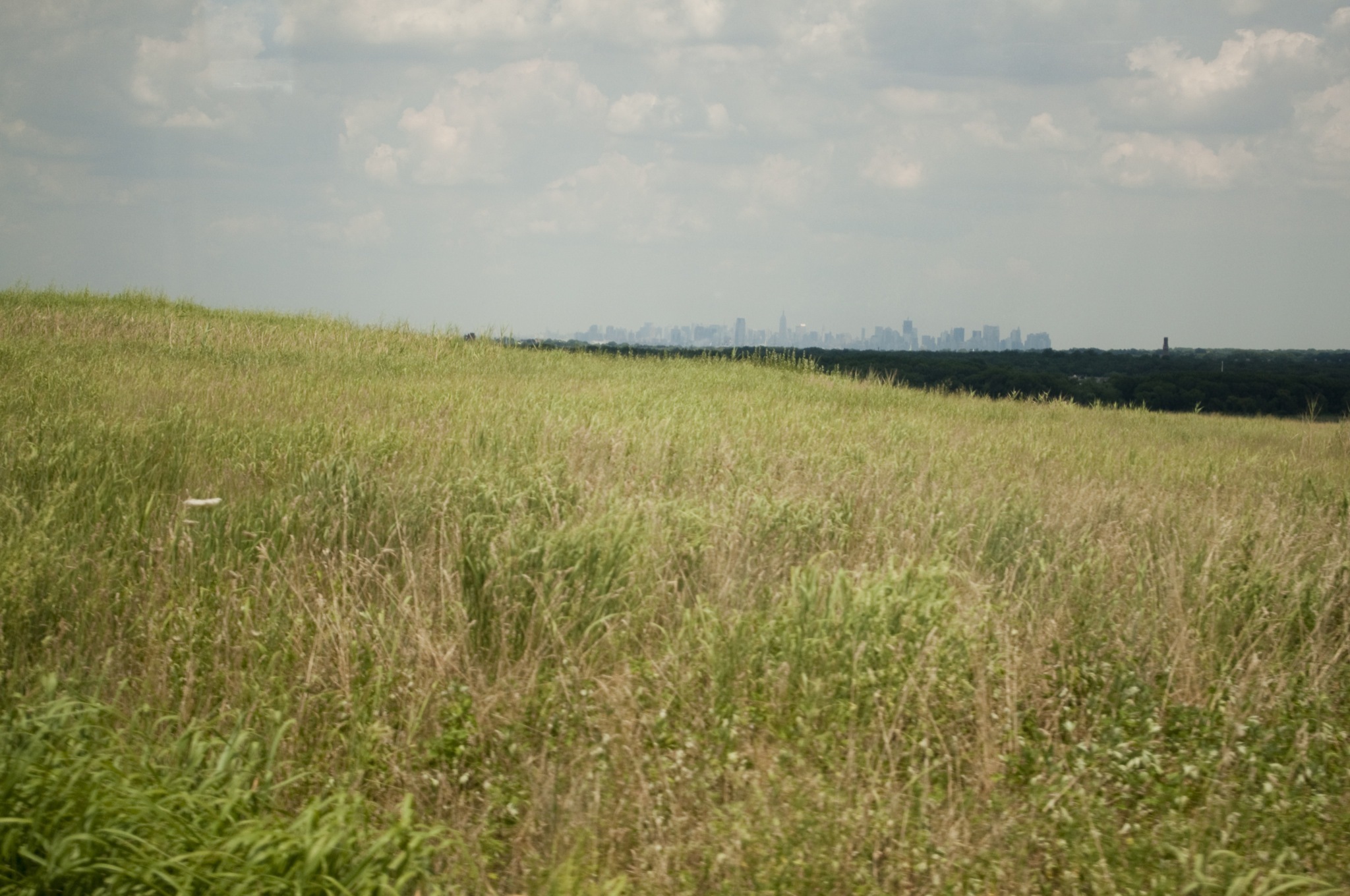 Freshkills Park grasslands, with Manhattan on the horizon. <a href="https://www.flickr.com/photos/leonizzy/5952025440/" target="_blank" >Photo</a>: Leonel Pence/<a href="https://creativecommons.org/licenses/by-nc/2.0/" target="_blank" >CC BY-NC 2.0</a>