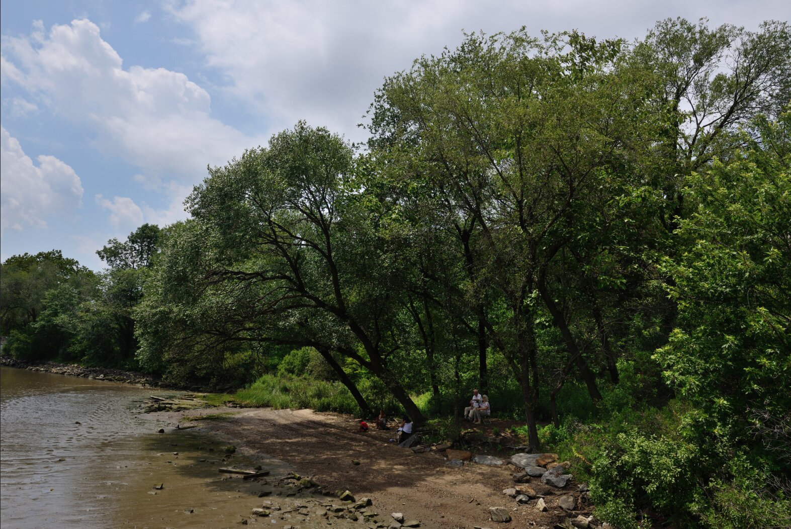 Swindler Cove Park’s small beach is visited by birds and humans alike. Photo: <a href="https://www.flickr.com/photos/edcnyc/" target="_blank">Eddie Crimmins</a>