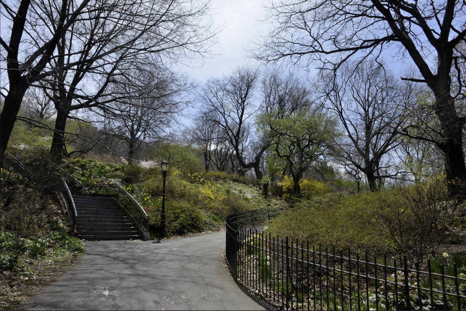 The habitat landscaping of Riverside Park has attracted over 170 species of migrating birds. Photo: <a href="https://www.flickr.com/photos/edcnyc/" target="_blank">Eddie Crimmins</a>