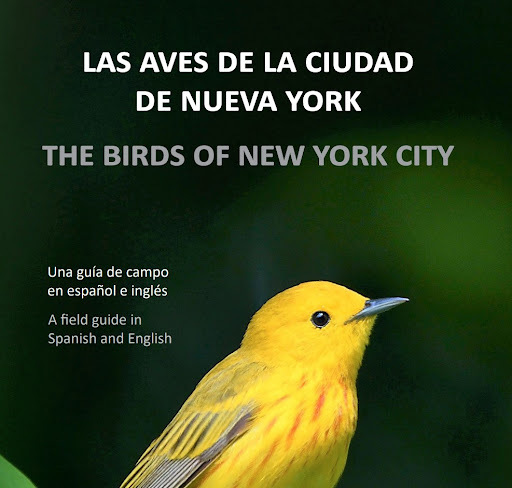 The cover of Las Aves de la Ciudad de Nueva York, set for publication in spring 2023. Reinita de Manglar/Yellow Warbler photo: César A. Castillo