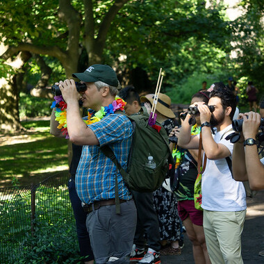 NYC Audubon's Tod Winston spots a bird  in the distance in Central Park