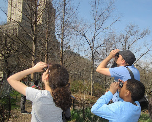 A free bird outing led by Gabriel Willow in Central Park. Photo: NYC Audubon