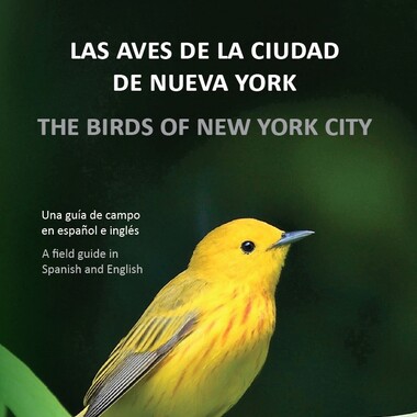 Foto de portada: Reinita de Manglar por César A. Castillo / Cover photo: Yellow Warbler by César A. Castillo