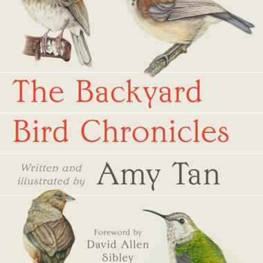 Join NYC Audubon as we will speak with esteemed author, Amy Tan, for a fireside chat! You may know her as the author of The Joy Luck Club, The Kitchen God's Wife, The Chinese Siamese Cat.. Graphics courtesy Knopf Doubleday Publishing Group and Amy Tan