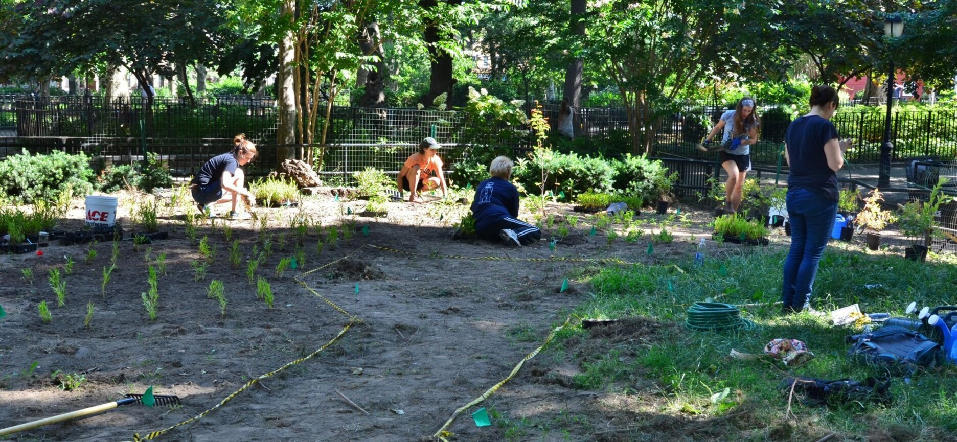 NYC Audubon volunteers and staff lay out a native plant garden in McGolrick Park, Brooklyn. Photo: Chris Kreussling