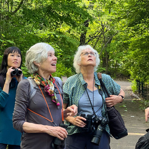 Tom Stephenson, NYC Audubon advisory council member and author of "The Warbler Guide," explains how to look for warblers during members event in Central Park. Photo: NYC Audubon