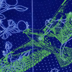 A stylized, dark blue graphic featuring the silhouette of a person engaging with an art piece by Gal Nissim and Leslie Ruckman. A green illustration of a hawk overlays the dark graphic.