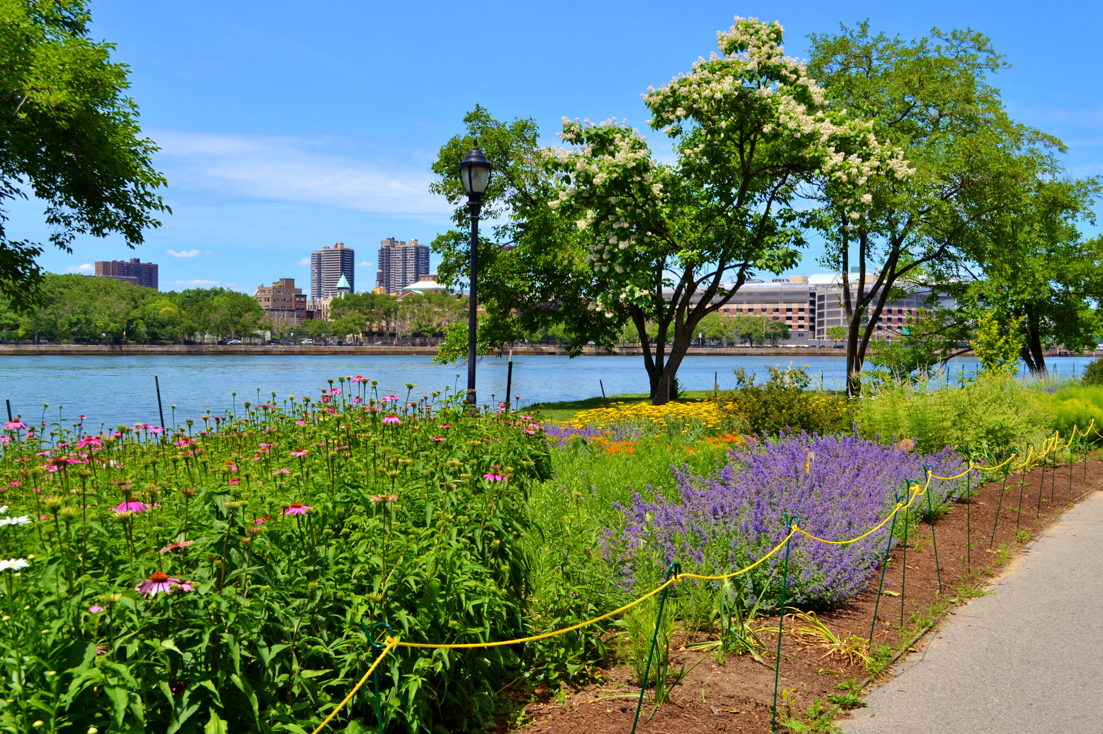 The landscaped waterside paths of Randall’s Island provide good vantage points on both the East and Harlem Rivers and the Bronx Kill. Photo: <a href="https://www.flickr.com/photos/76807015@N03/" target="_blank">Gigi Altarejos</a>
