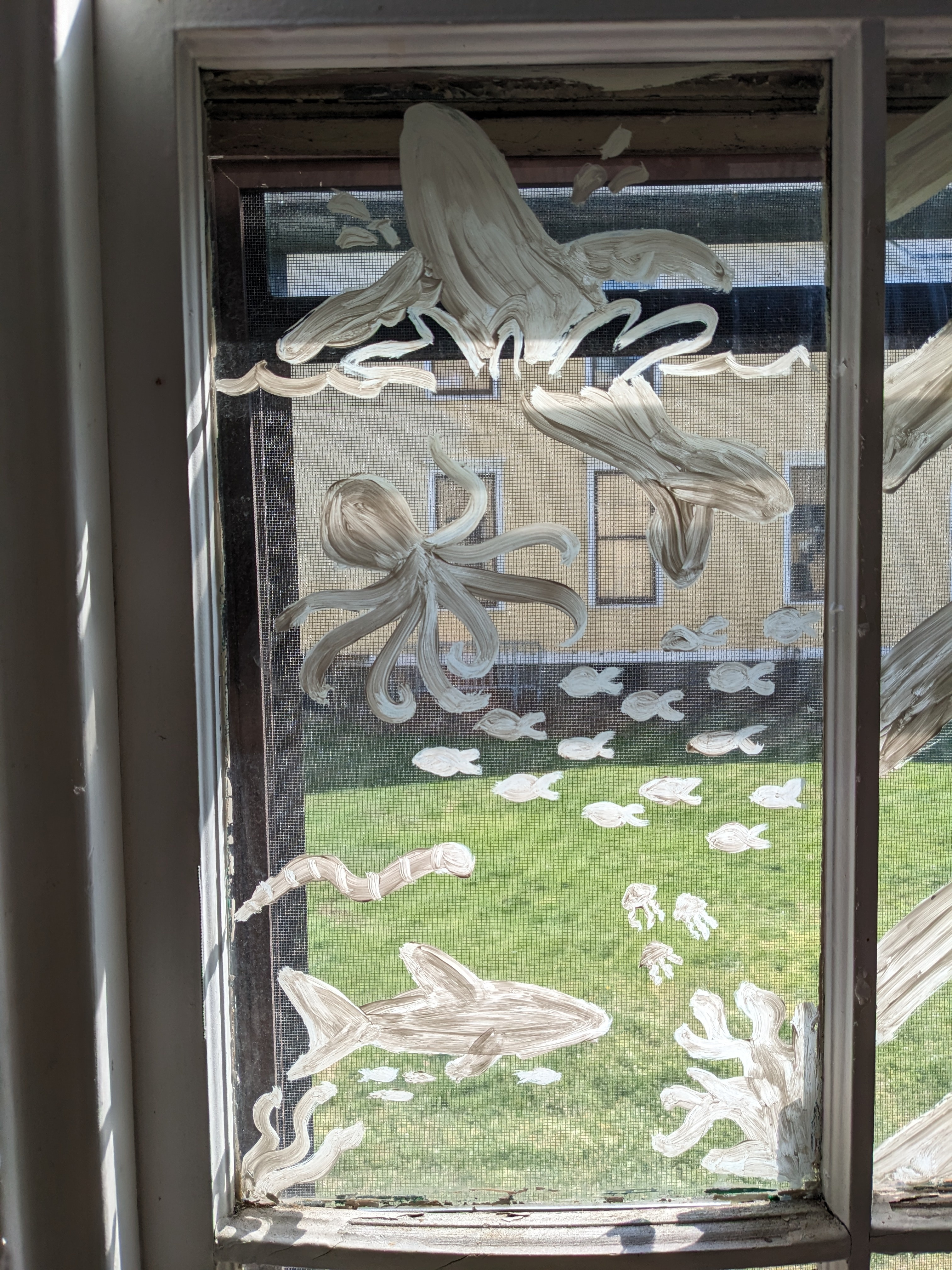 An image of a window pane of NYC Audubon's seasonal environmental center on Governors Island. It is decorated with images of marine life using acrylic paint.