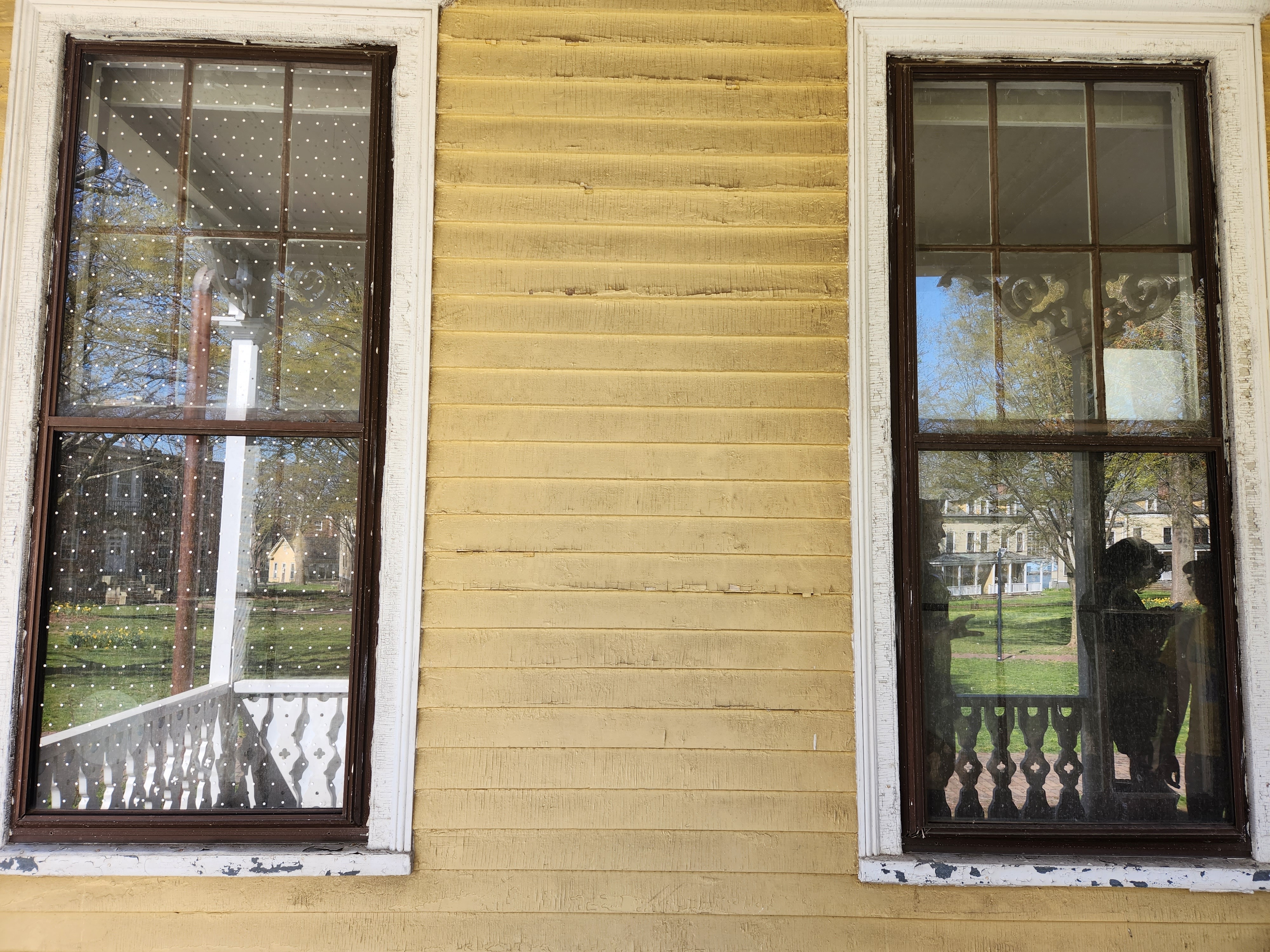 An image of two windows of NYC Audubon's seasonal environmental center on Governors Island treated by window film.
