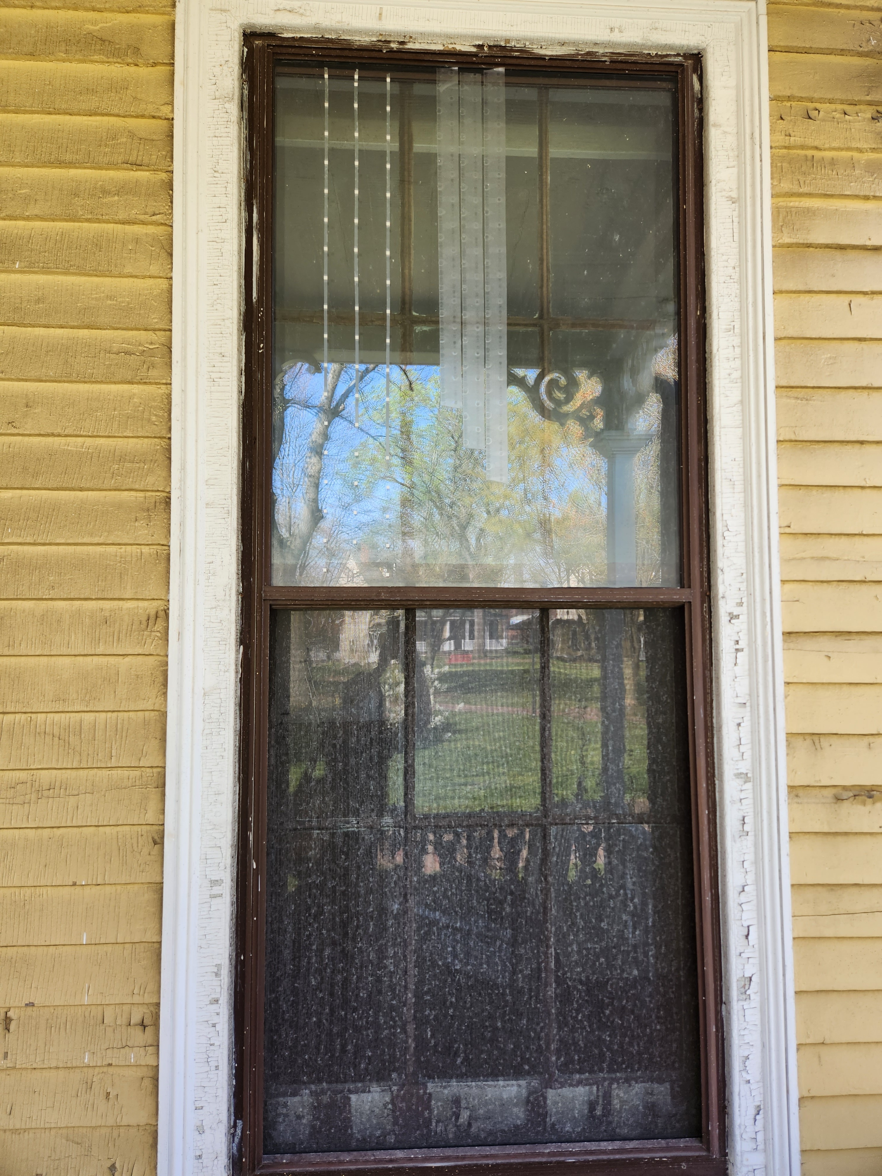 An image of a window of NYC Audubon's seasonal environmental center on Governors Island treated by window tape.