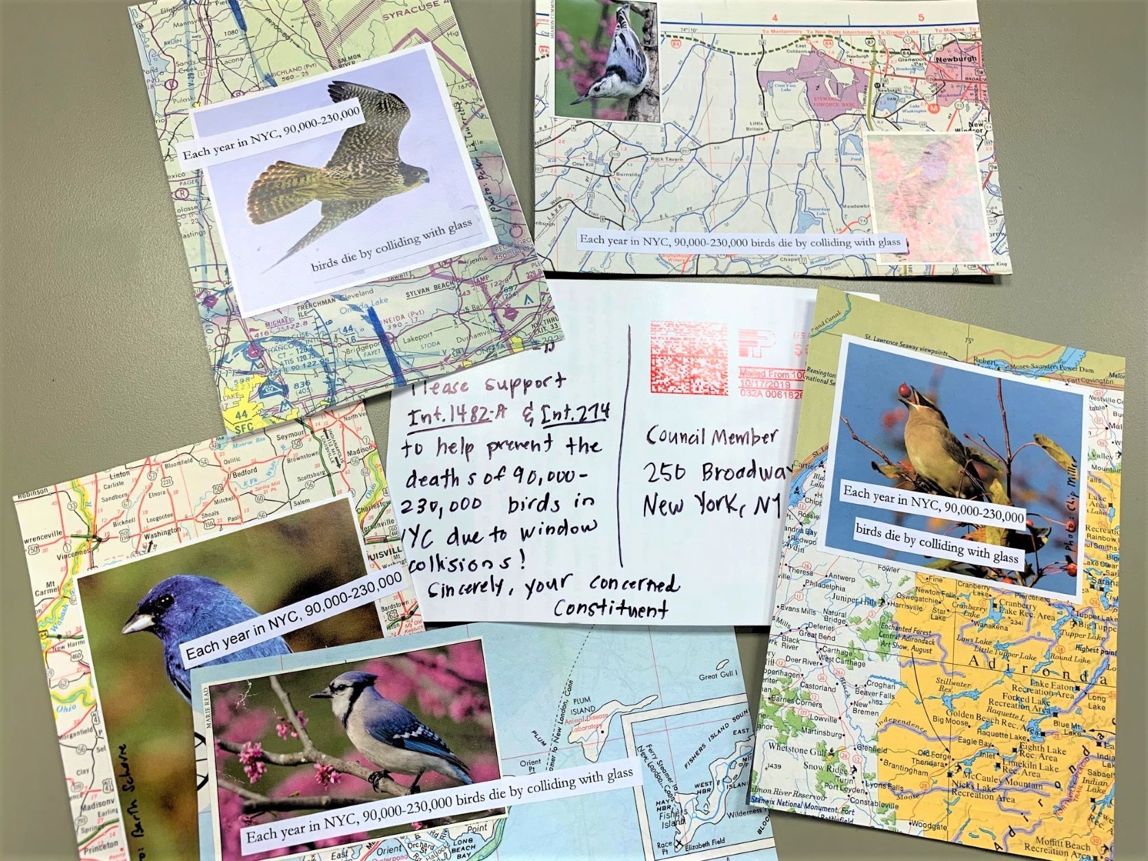 Advocacy volunteers wrote thousands of postcards in support of New York City's landmark bird-friendly design law. Photo: NYC Audubon
