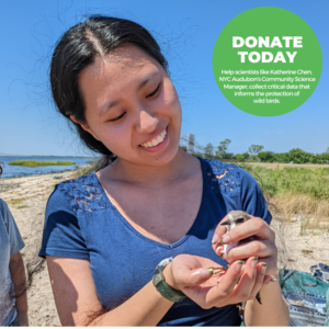 Katherine Chen holding a Semipalmated Plover  in Jamaica Bay, Queens; Photo by Roslyn Rivas  and become part of a   dynamic vision for 2023   that builds on over 40 years   of conservation impact.  A Visionary Future