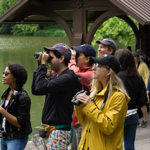 Inaugural "Let's Go Birding Together" outing in Central Park, June 2018. Photo: Andrew Maas
