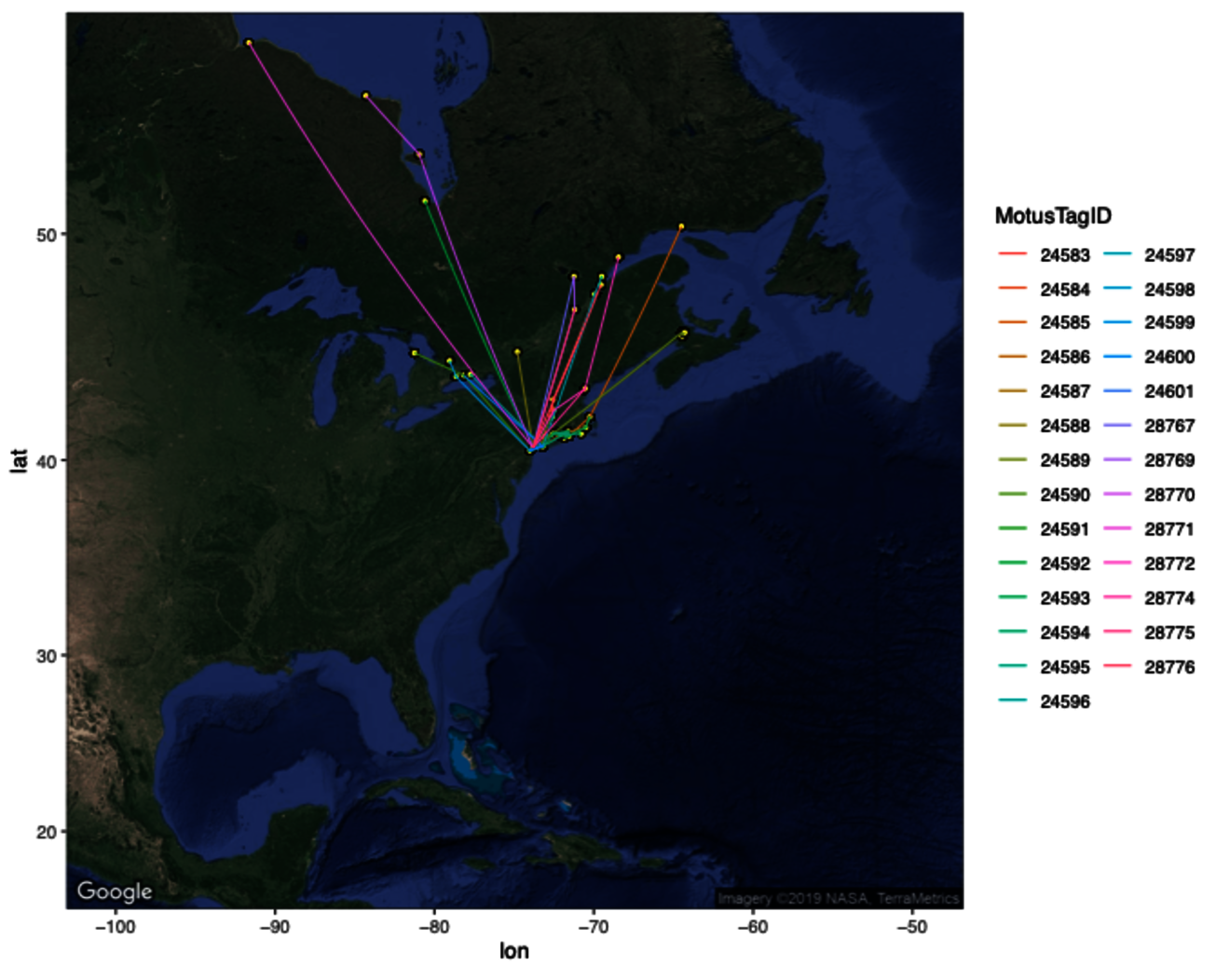 Spring migration tracks of 27 Semipalmated Sandpipers nanotagged in Jamaica Bay in 2017 and 2018. Birds were detected flying inland along the Connecticut River, along the coast of Long Island Sound and Cape Cod, and eventually at locations in Canada including Lake Ontario, the St. Lawrence River, the Bay of Fundy, Ottawa, and Hudson Bay. Photo: NYC Audubon