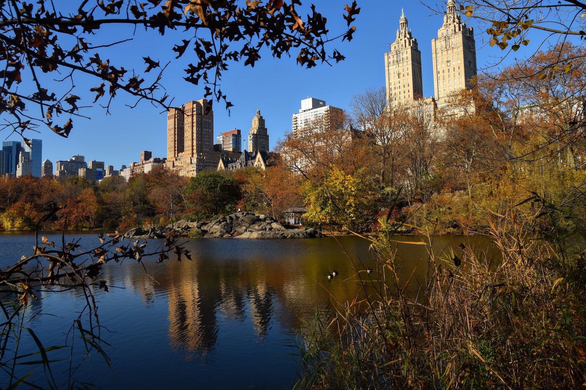 A view of the Central Park Lake from the Ramble shoreline. Photo: <a href="https://www.flickr.com/photos/larrycloss/" target="_blank">Larry Closs</a>
