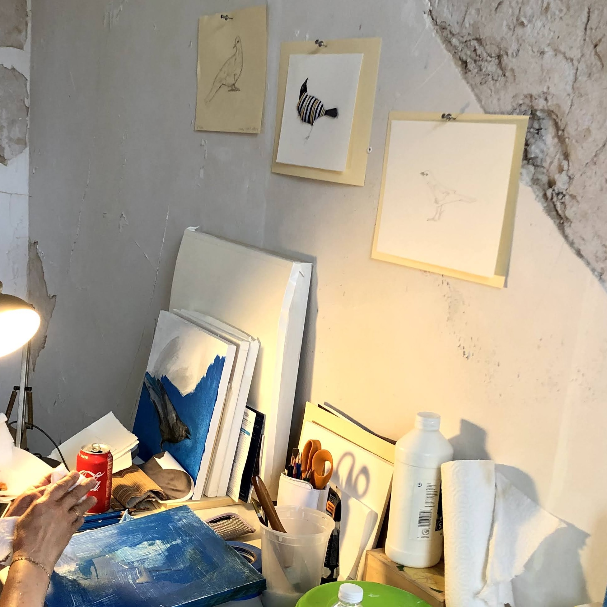 A NYC Audubon Artist in Residence works in their studio on Governors Island. Photo credit: NYC Audubon