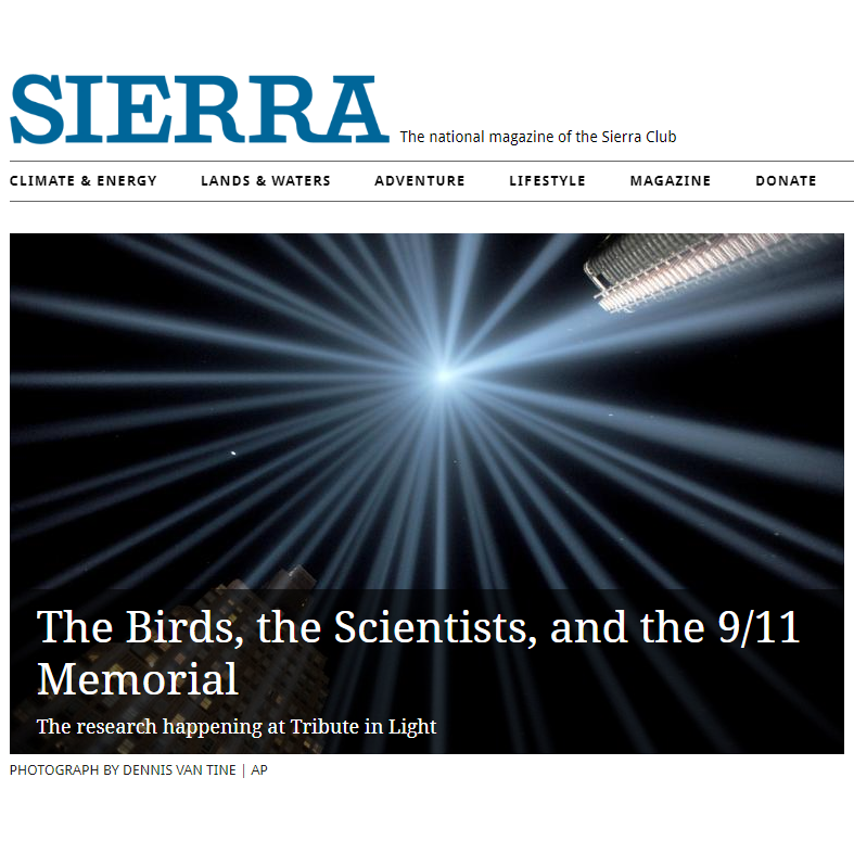 The Birds, the Scientists, and the 9/11 Memorial, was published in Sierra Magazine, September 11, 2020.