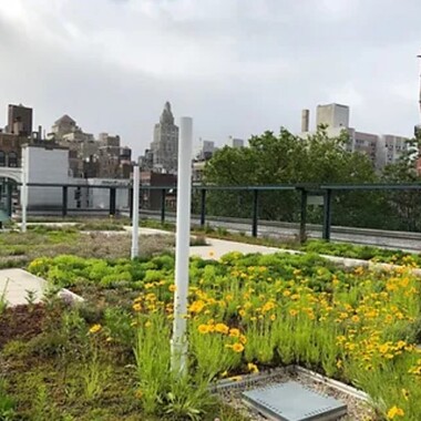 The Green Roof Environmental Literacy Laboratory, the largest NYC  public school green roof, sits atop of the New York City public elementary school PS41. Photo: courtesy Green Roof Researchers Alliance