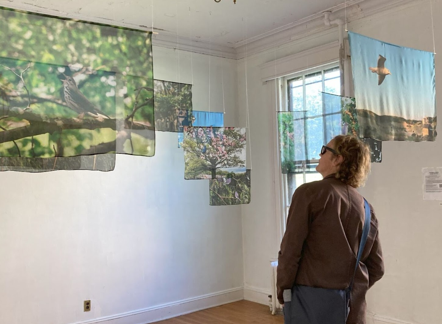 As part of the "Divergence of Birds" exhibit, Carolyn Monastra’s photographs hang on silk banners inside our Governors Island seasonal environmental center. Photo: NYC Audubon